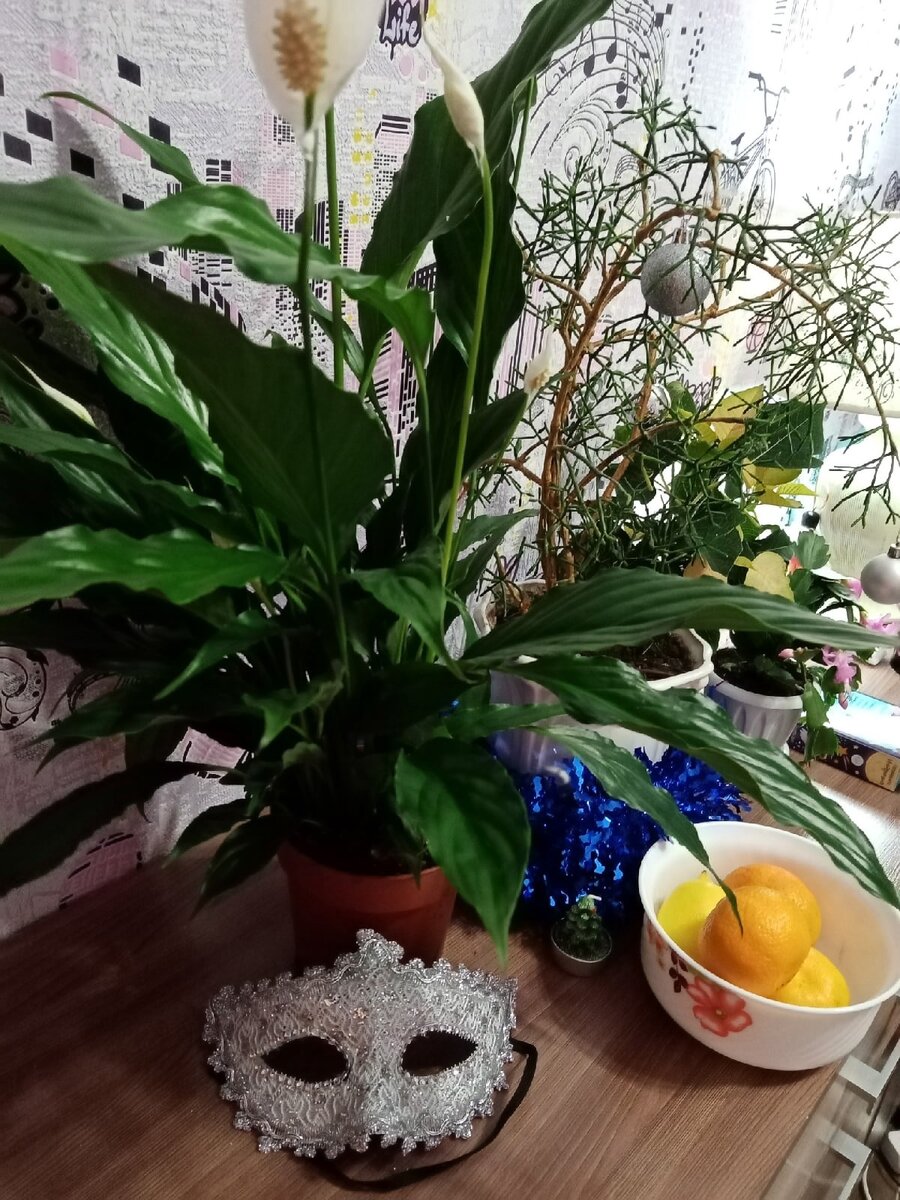 Немного разбавим серые февральские буквы цветочными мотивами)