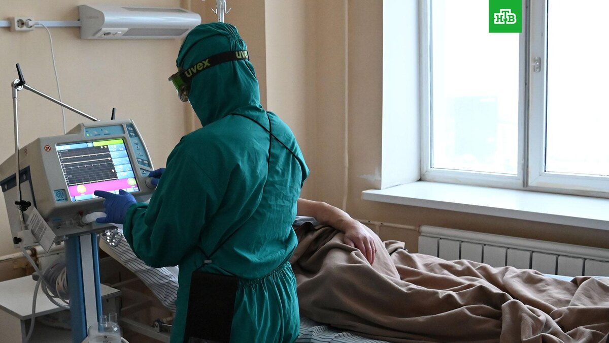    Фото: РИА Новости © 2022, Максим Богодвид