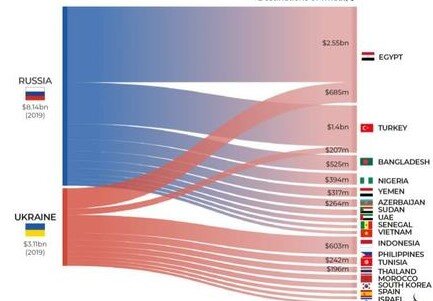 Страны, покупающих пшеницу у России и Украины (данные 2019 г но они почти не изменились к 2021 г)