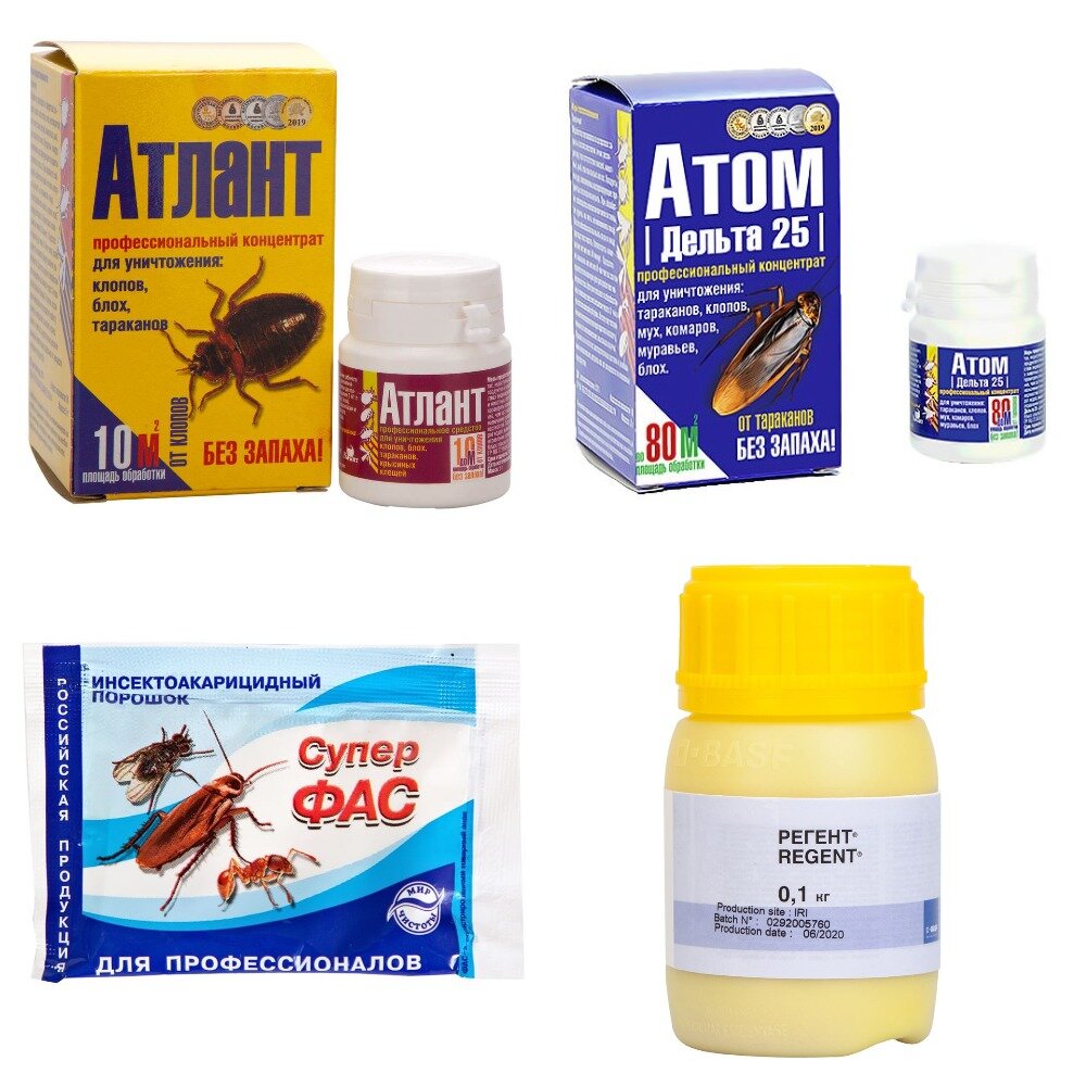 Что представляют собой воднодиспергируемые гранулы (порошки) от тараканов и других членистоногих вредителей? Влияет ли форма выпуска инсектицидного концентрата на эффективность его воздействия на насекомых? Какие порошки наиболее распространены в вопросах уничтожения и профилактики появления тараканов?