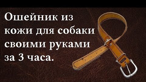 Ошейник для собак своими руками - простая и понятная инструкция