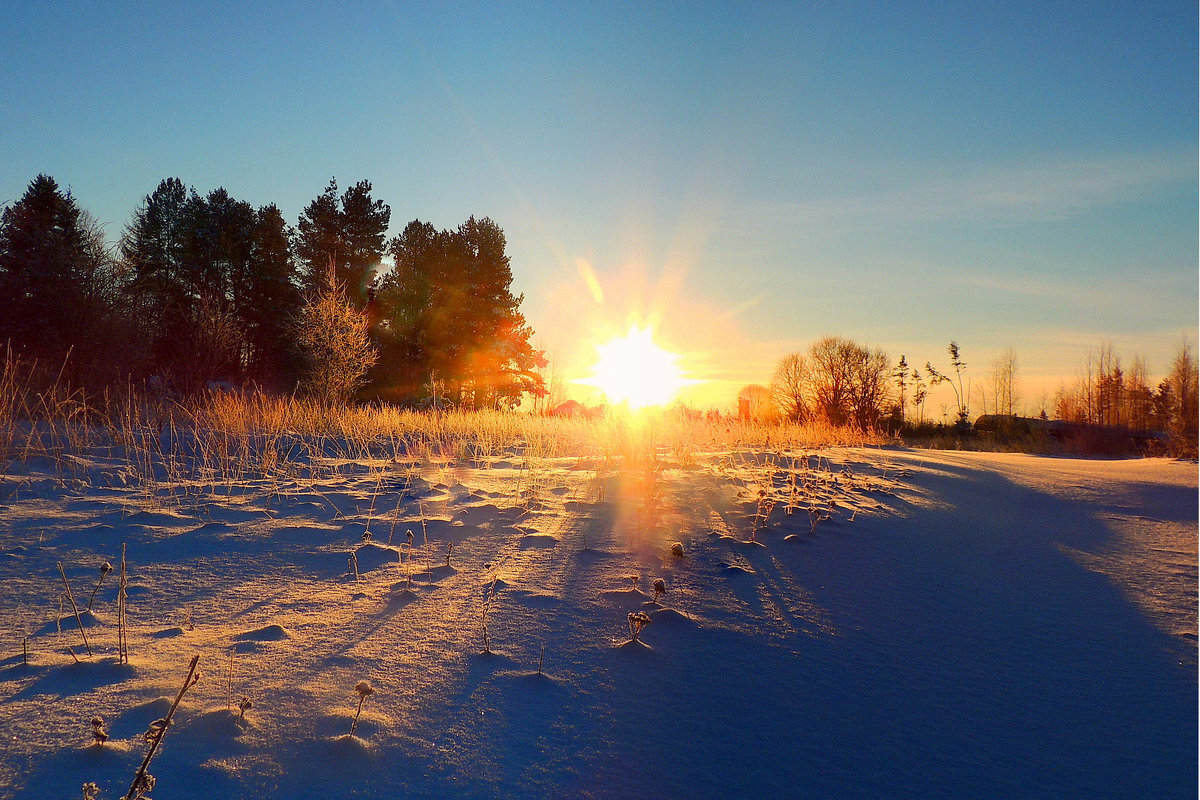 источник http://s2.fotokto.ru/photo/full/375/3759341.jpg