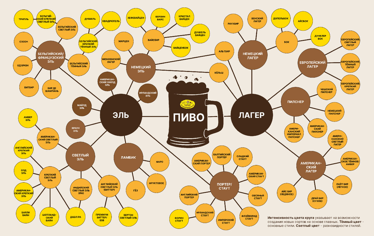 Виды пива схема