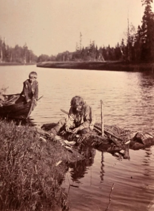 Добыча речного жемчуга (источник - yandex.ru)