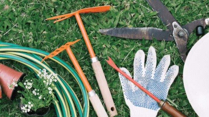 важные садовые инструменты весной