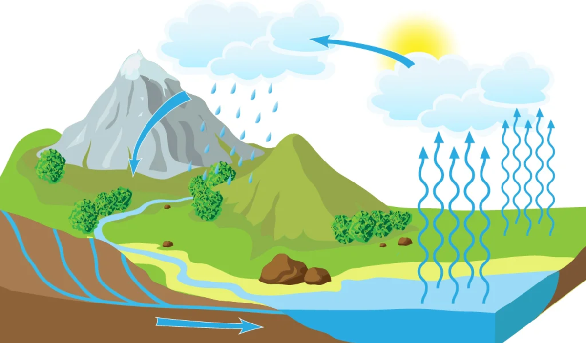 В процессе круговорота участвует солнечная энергия 