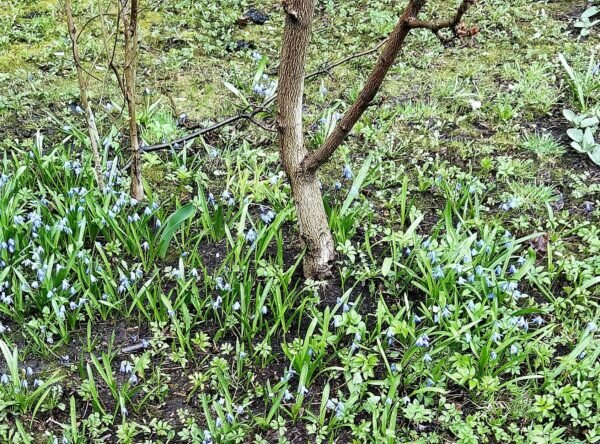    Фото: Екатерина Иванова