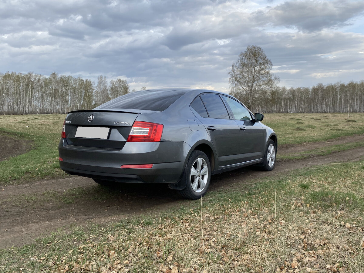 Во сколько обойдется гибридная Skoda Octavia?