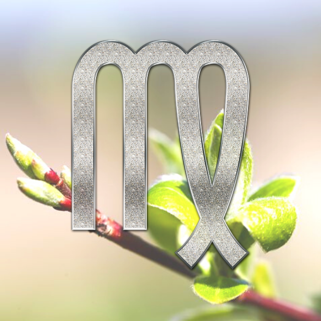 яндекс-картинки