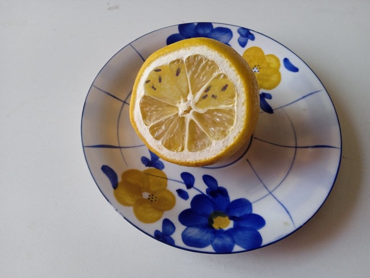 Многим знакома ситуация: забудешь разрезанный лимон на столе, а уже на следующий над ним роится мошка