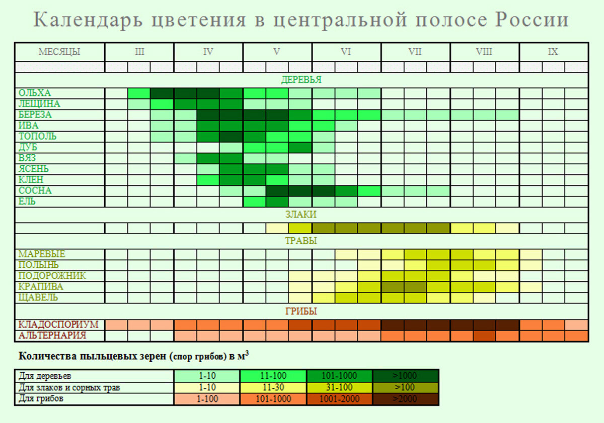 Карта березы для аллергиков