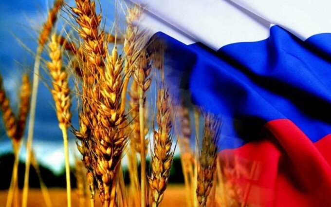 Колосья пшеницы на фоне российского флага.