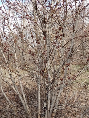 Фотография из личного архива автора