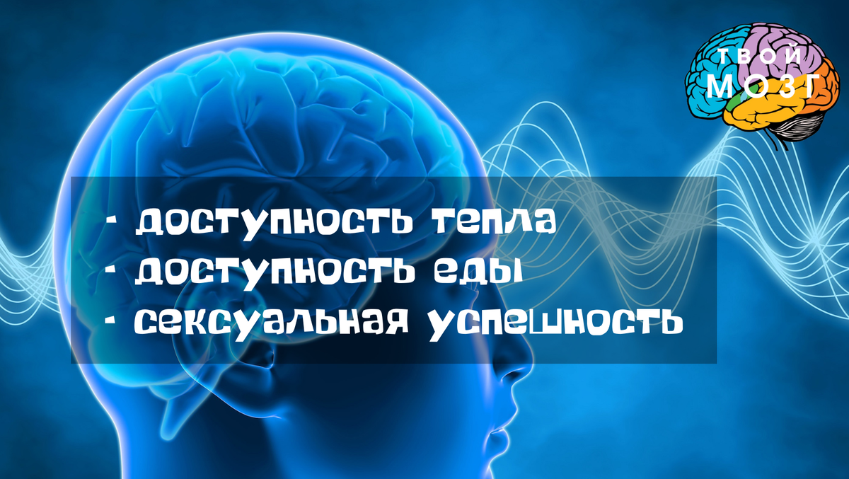 Базовый паттерн работы головного мозга человека. То, ради чего выделяется подавляющее количество нейроресурса.