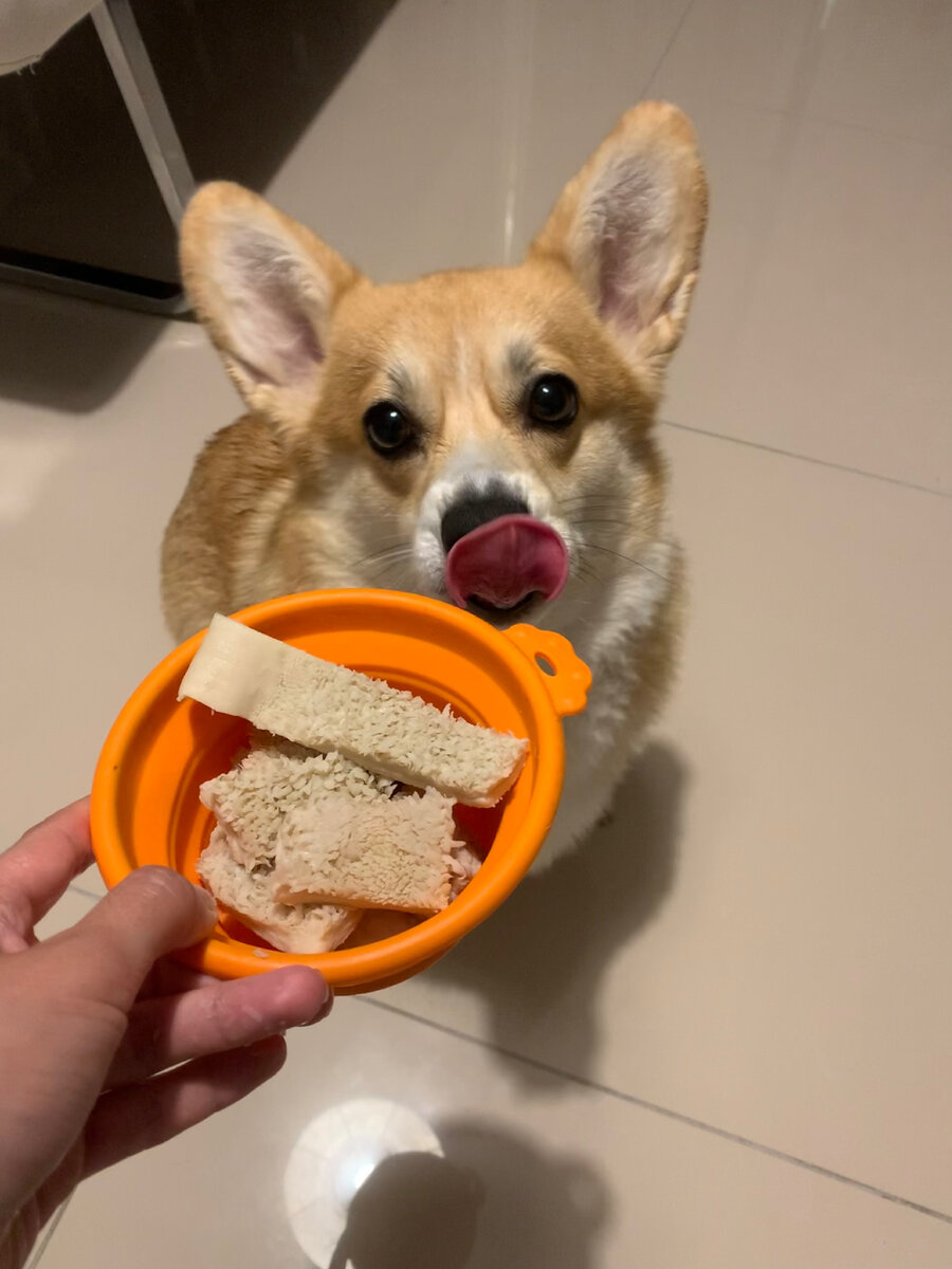 Асти в ожидании рубца.