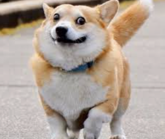 Подпишись у меня интересно 