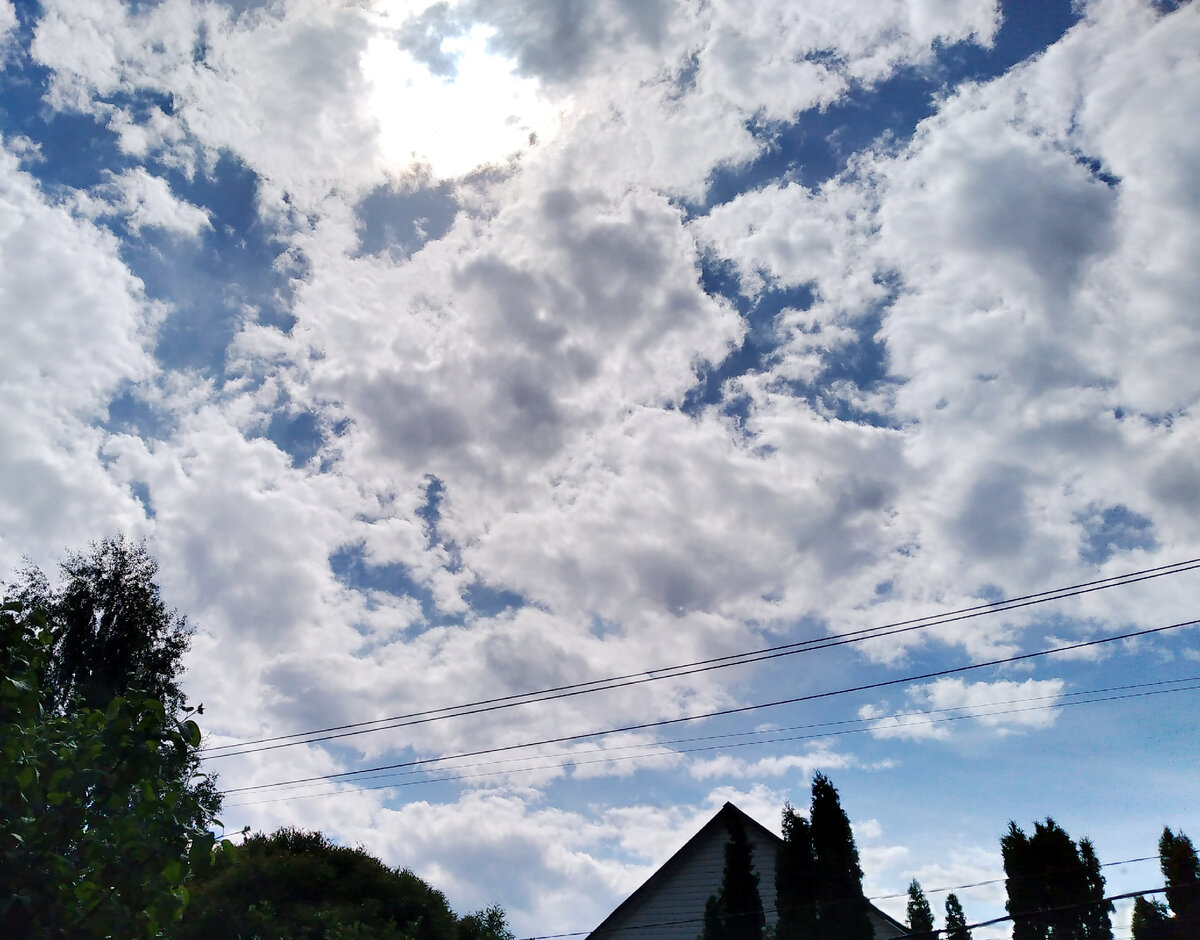 фото автора статьи