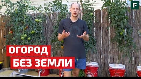 Четыре сезона. Гидропоника