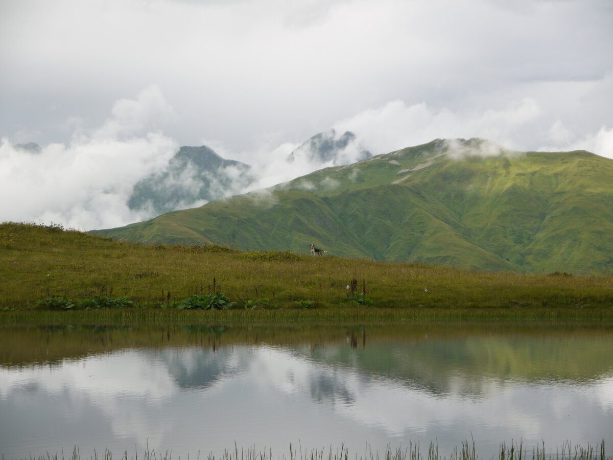 гора Ацетук
