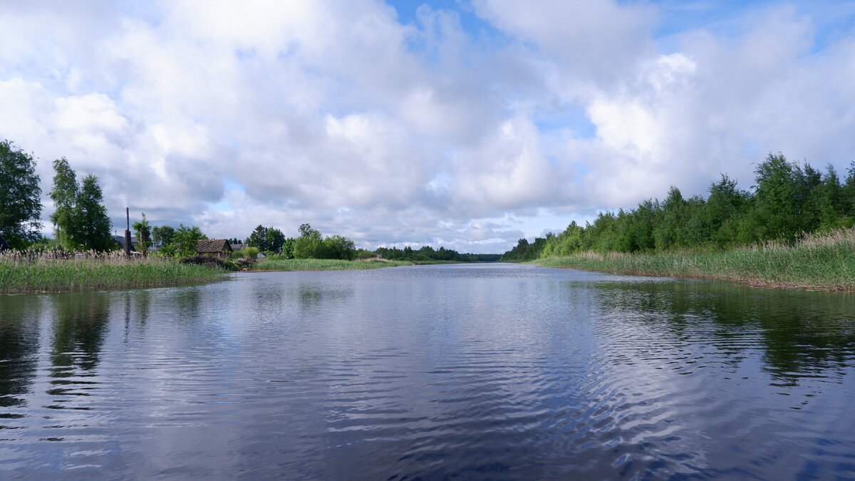 Пашозеро тихвинский район фото