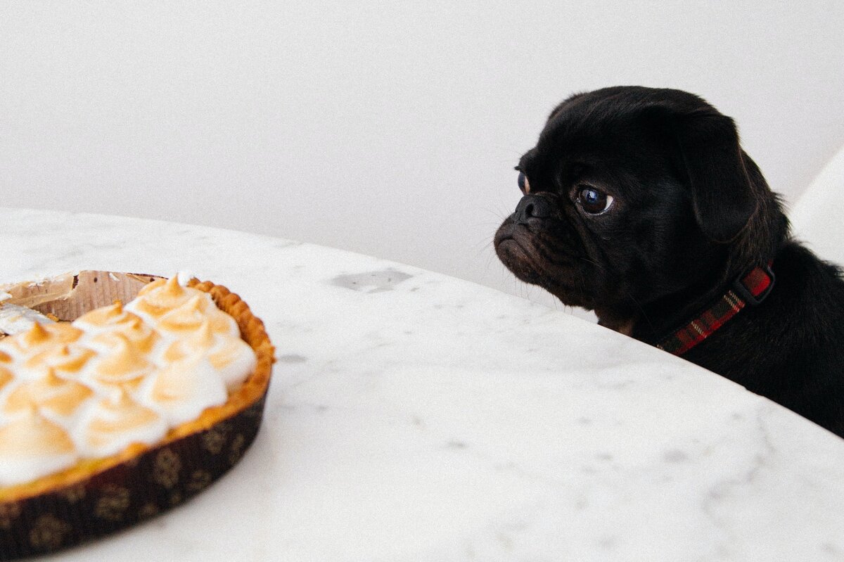     Как двадцатилетний парень смог похудеть на 50 кг и избежать диабета