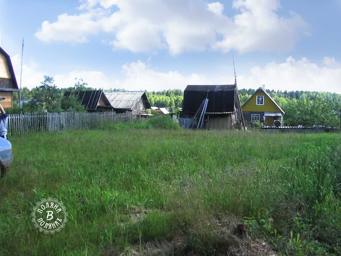 Поляна, 2004 год