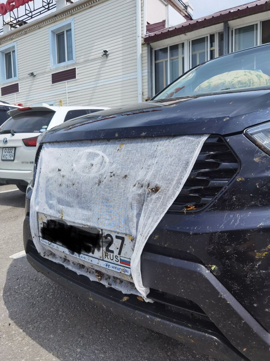 В решетке кладбище бабочек, затянули пока так, марлей