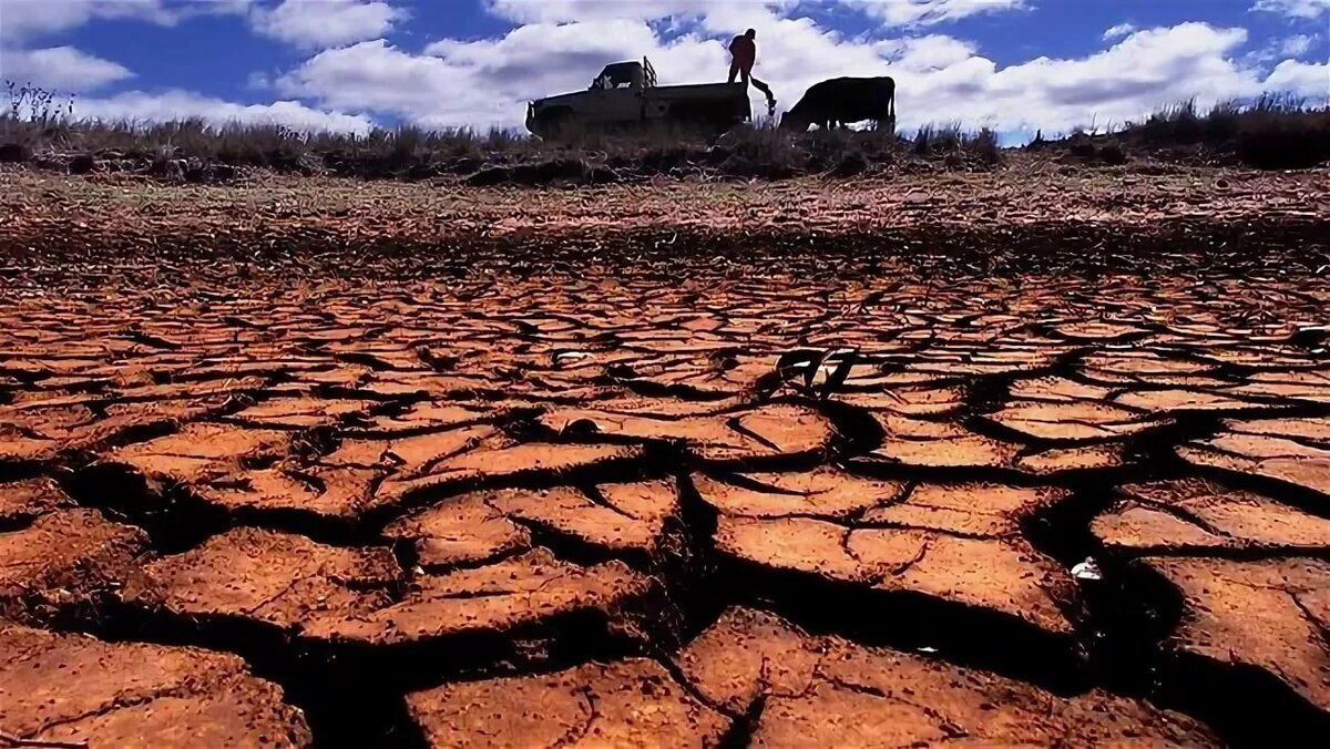 Семья с потеряла по причине засушливого лета. Засуха в Западной Австралии 1829 год. Засуха. Засуха в Австралии. Пустыня засуха.