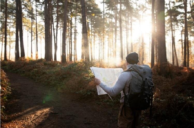 Фото: freepik.com