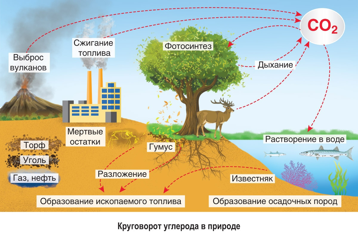 Схема углекислого газа