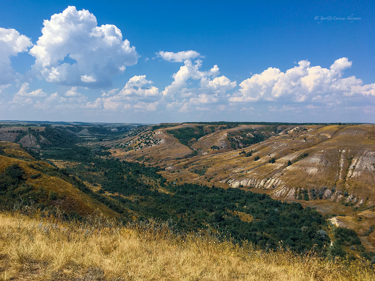 парк щербаковский