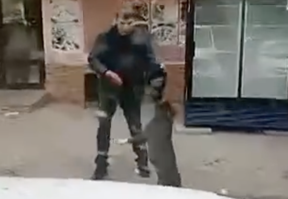     В Альметьевске очевидцы засняли на видео, как неизвестный мужчина душил собаку ошейником. Публикация появилась в Telegram-канале городских новостей.