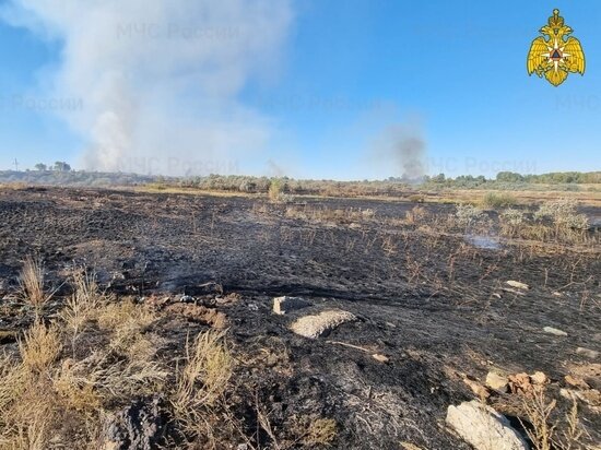     ГУ МЧС по Оренбургской области