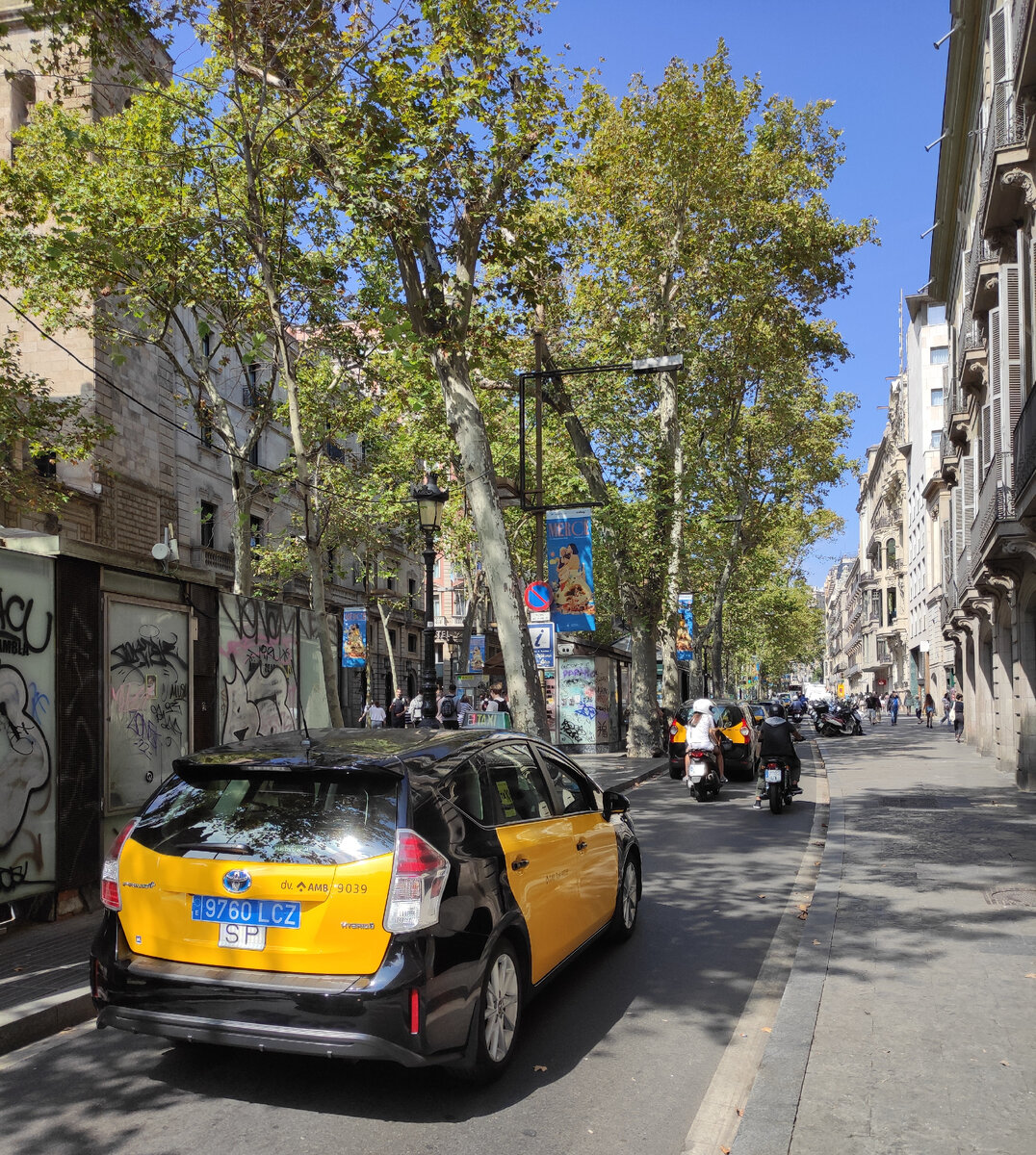 Такси в Барселоне. Задний номер синий, передний - белый 