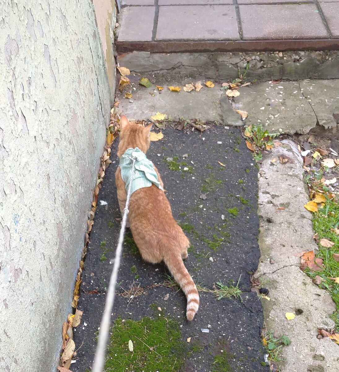 Личное  фото