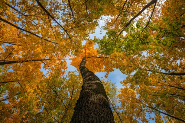 Фото Федора Лашкова