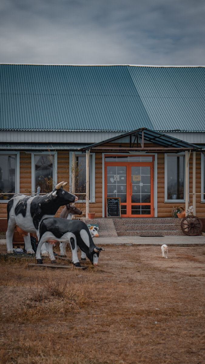 Главный вход, и встречает кот