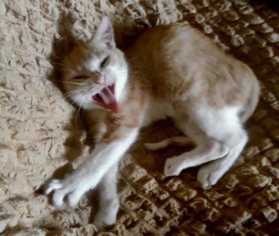    Фото: личный архив