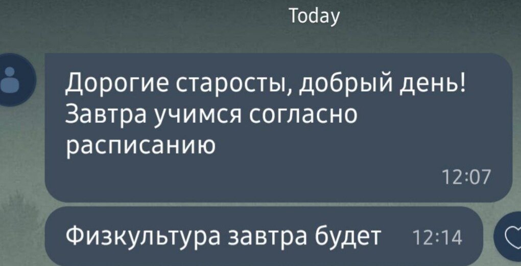 Наша староста сбросила в общий чат сообщение от завуча.