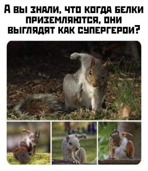 Посмеялся сам - поделись с другом!!!