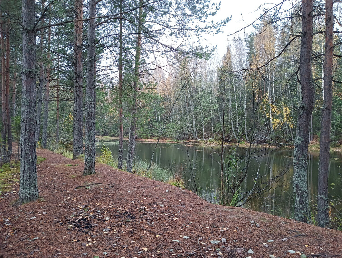 Фото сделанное на прогулке.