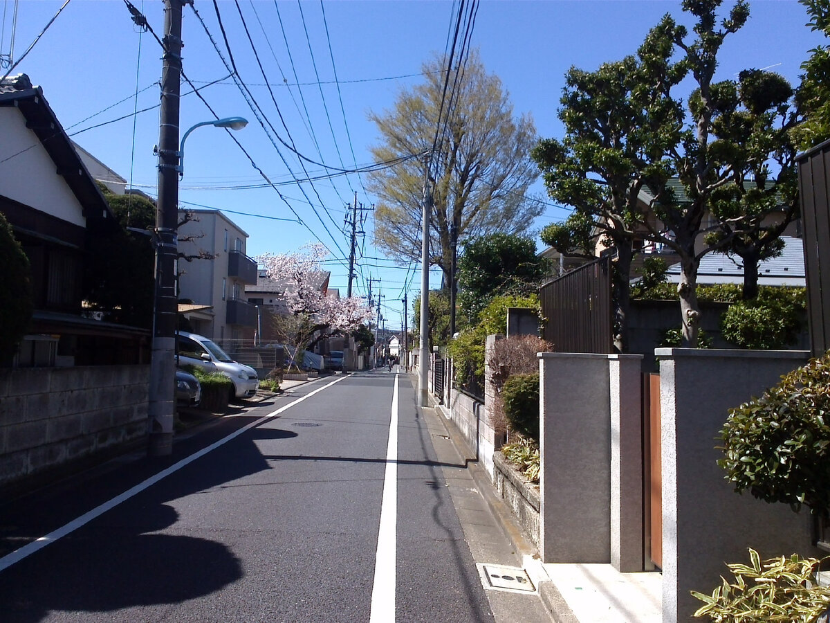 Сугинами-ку,Токио.