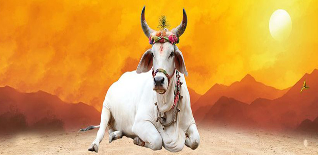 картинка с сайта apkzip.com