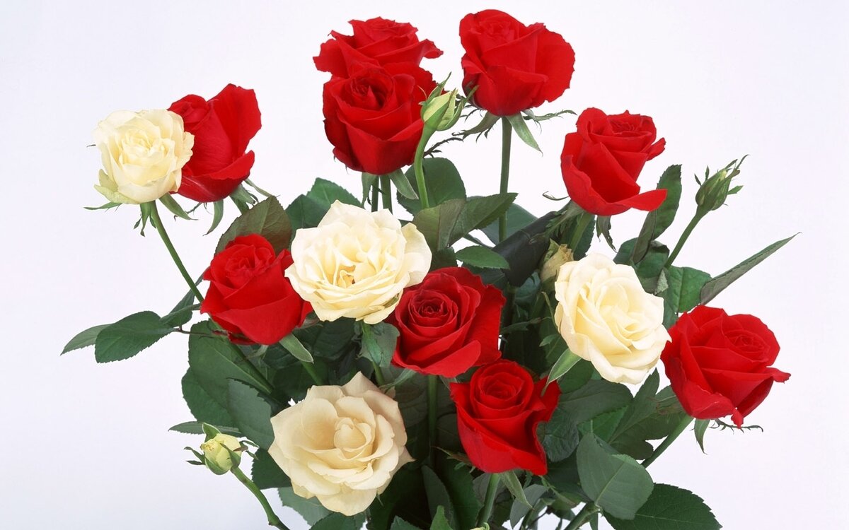 Фото из интернета