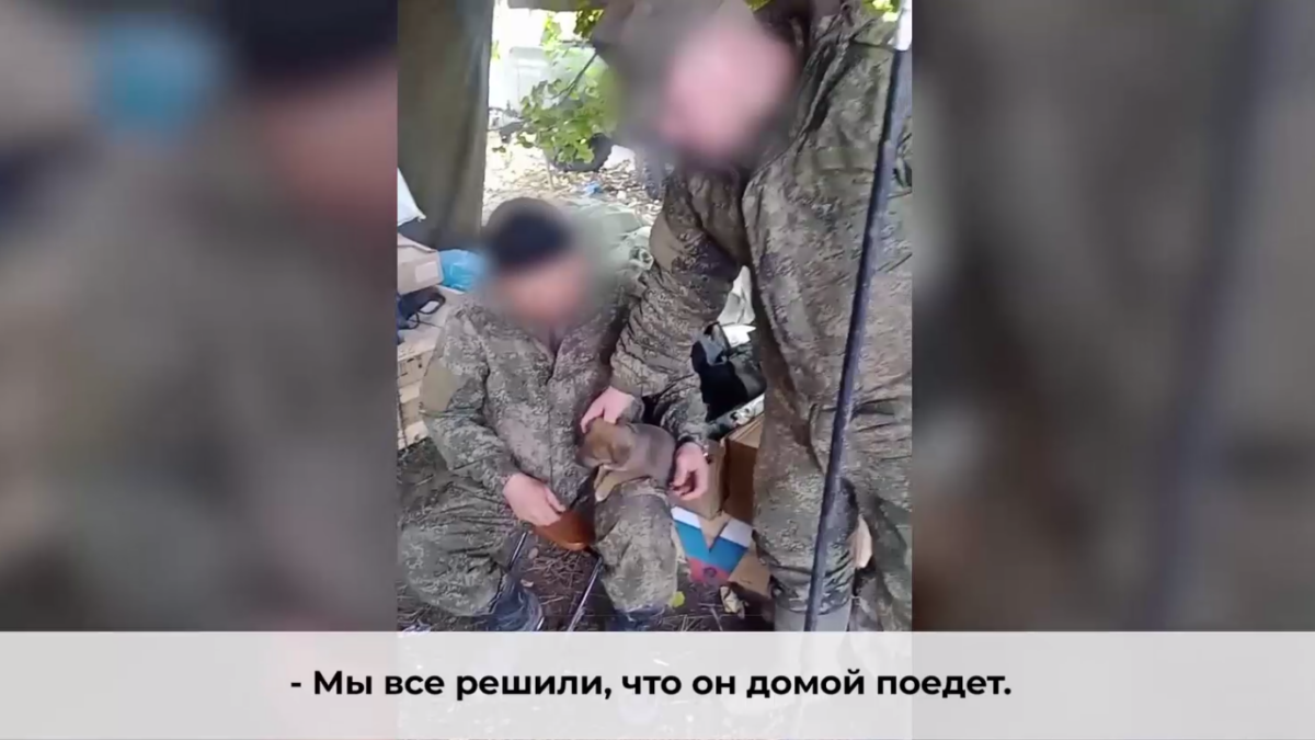    Телеграм-канал Александра Моора