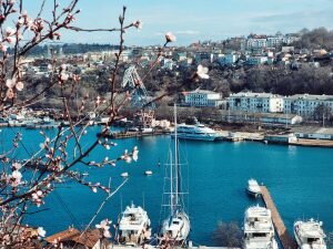    Фото: Konstantin Dyadyun / unsplash.com Константин Бухтатов