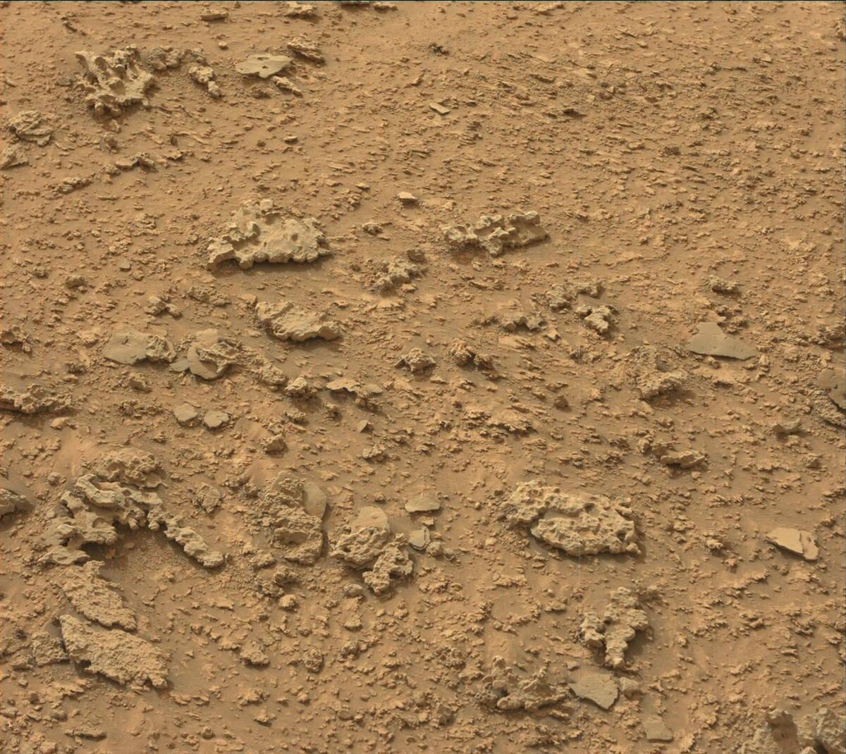 3638-23