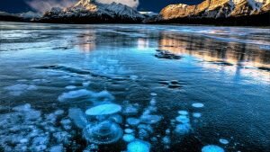    Фото: linbo.ru Анна Норкина