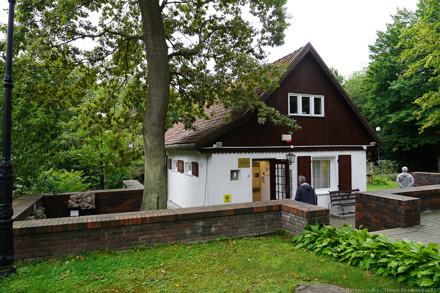 Фото: Виталий Невар / Новый Калининград