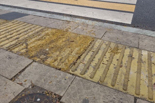   Фото: Калининград.Ru